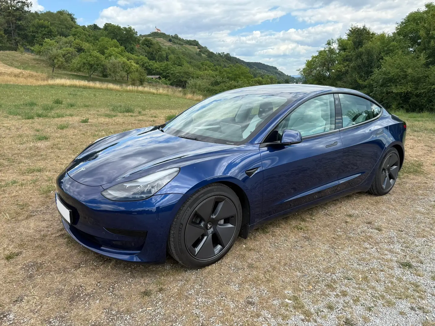 Tesla Model 3 Model 3 RWD Hinterradantrieb Blau - 2