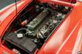 Austin-Healey 3000 MK3 | Gerestaureerd | 1965 Czerwony - thumbnail 7