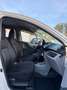 Nissan Pixo 1.0 5 porte Matic Bianco - thumbnail 15