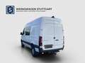 Mercedes-Benz Sprinter Sprinter 319 CDI L2H2 4x4 MIXTO LED 360° AHK Weiß - thumbnail 4