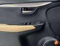 Lexus NX 300 300h F Sport Panorámico 4WD Schwarz - thumbnail 17