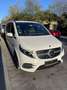 Mercedes-Benz V 220 V220d EDITION lang AMG LED Leder DISTRONIC 9G MOPF Weiß - thumbnail 5