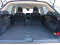 Volkswagen T-Roc 1.5 eTSI 85 kW Life Weiß - thumbnail 13