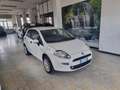Fiat Punto Punto Evo 2012 5p 1.4 Natural Power Street 70cv E6 Bianco - thumbnail 1