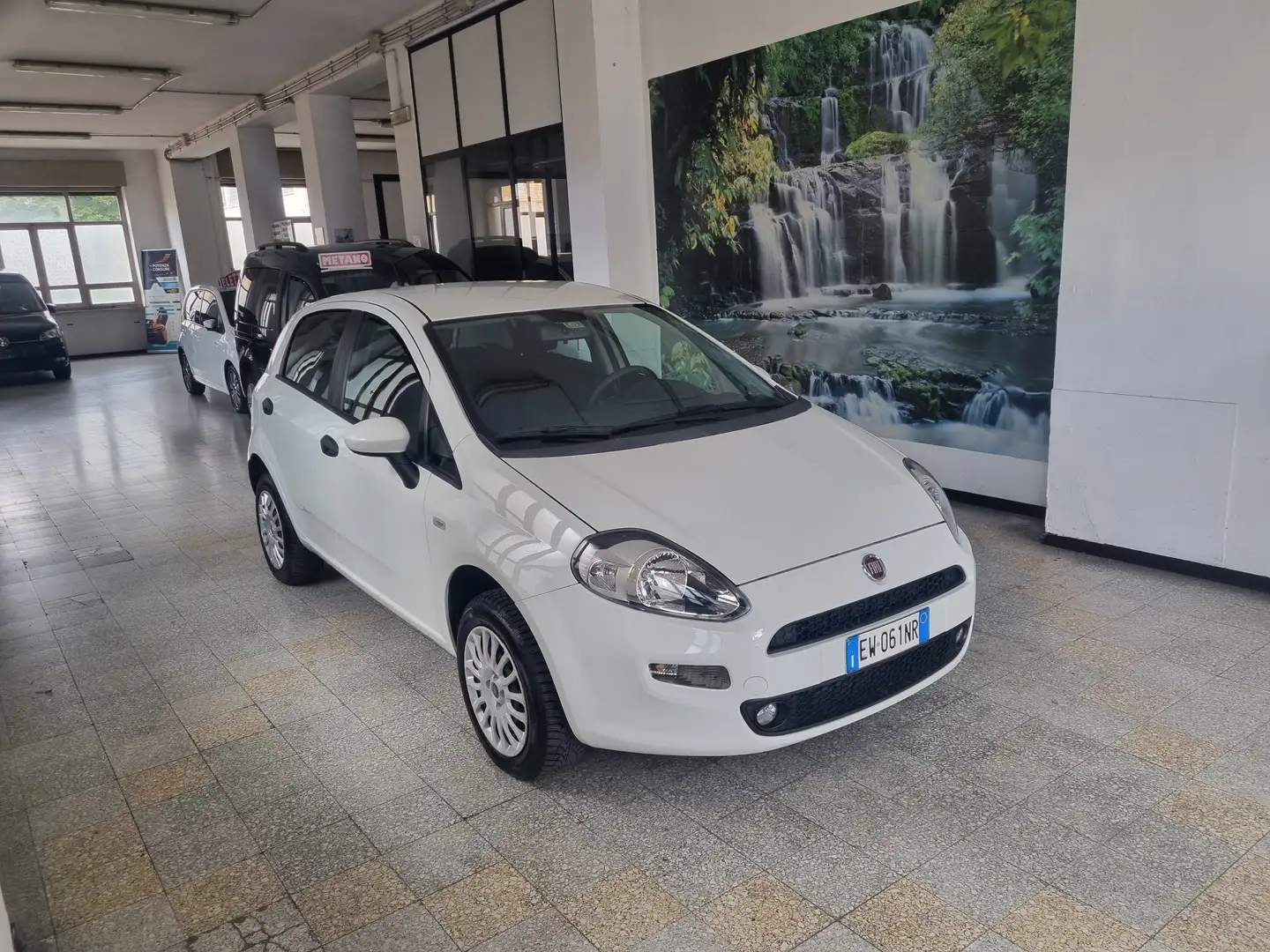 Fiat Punto Punto Evo 2012 5p 1.4 Natural Power Street 70cv E6 Bianco - 1