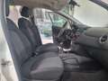 Fiat Punto Punto Evo 2012 5p 1.4 Natural Power Street 70cv E6 Bianco - thumbnail 11