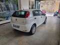 Fiat Punto Punto Evo 2012 5p 1.4 Natural Power Street 70cv E6 Bianco - thumbnail 4