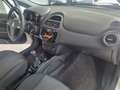 Fiat Punto Punto Evo 2012 5p 1.4 Natural Power Street 70cv E6 Bianco - thumbnail 12