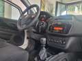 Fiat Punto Punto Evo 2012 5p 1.4 Natural Power Street 70cv E6 Bianco - thumbnail 9