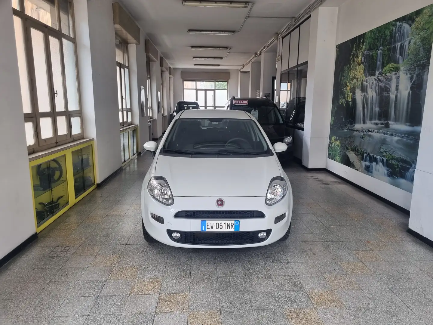 Fiat Punto Punto Evo 2012 5p 1.4 Natural Power Street 70cv E6 Bianco - 2