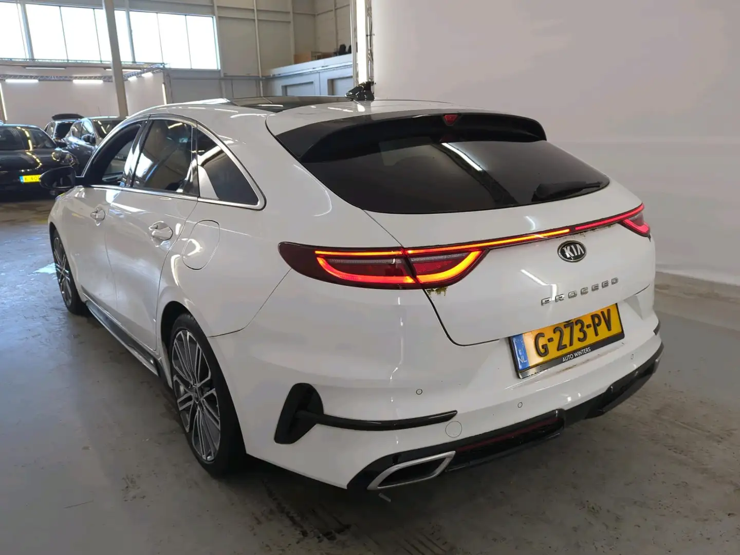 Kia ProCeed / pro_cee'd 1.4 T-GDI 140pk GT-PlusLine | Panoramadak | Suède Bianco - 2