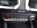 Ford Mustang Mustang 5.0 Ti-VCT V8 GT Convertible Weiß - thumbnail 13