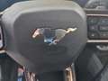 Ford Mustang Mustang 5.0 Ti-VCT V8 GT Convertible Weiß - thumbnail 12
