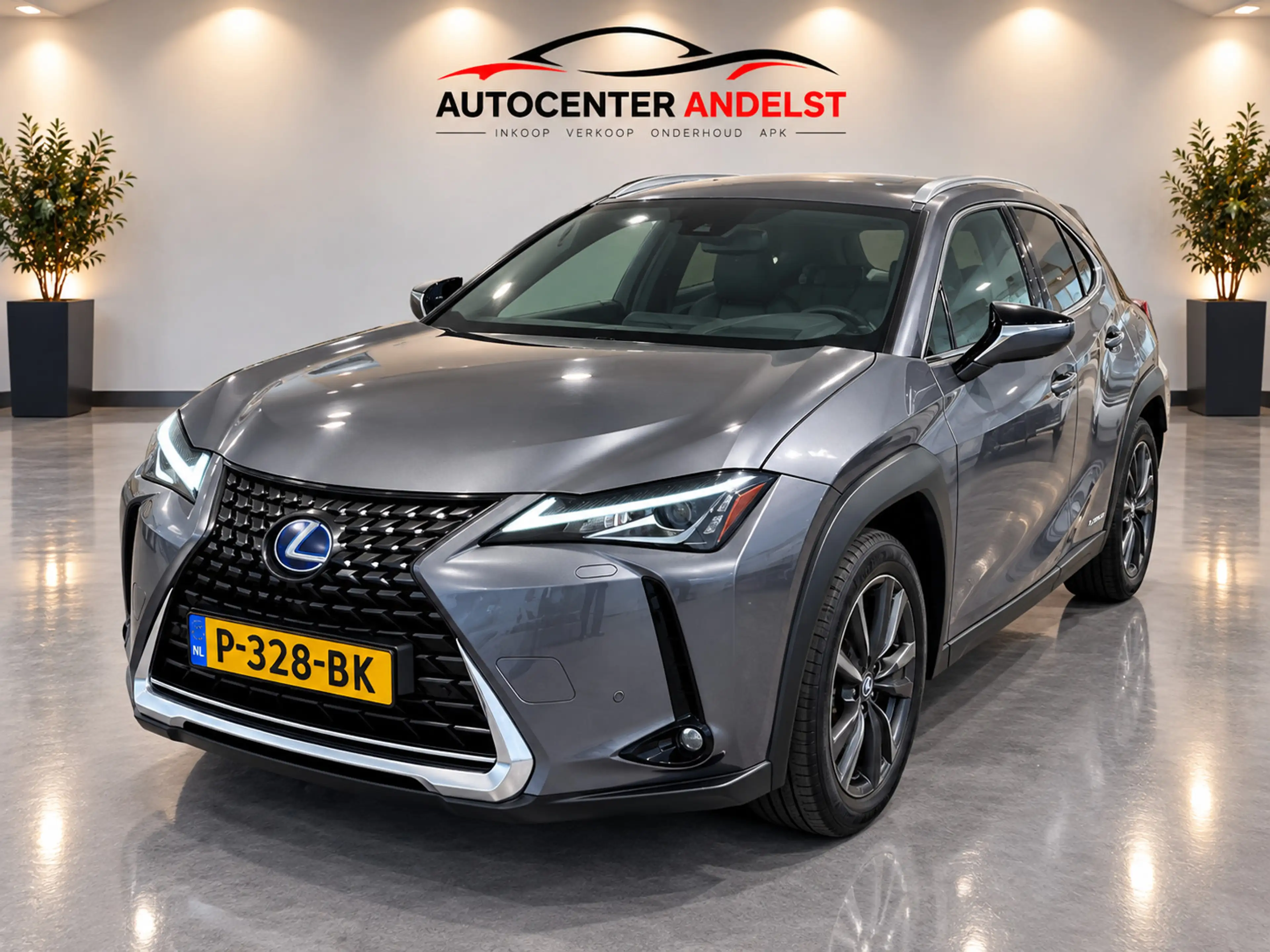 Lexus UX 250h Business Line, Aut, Acc, Stoelvrw, Navi, Pdc, Cam, — photo 4