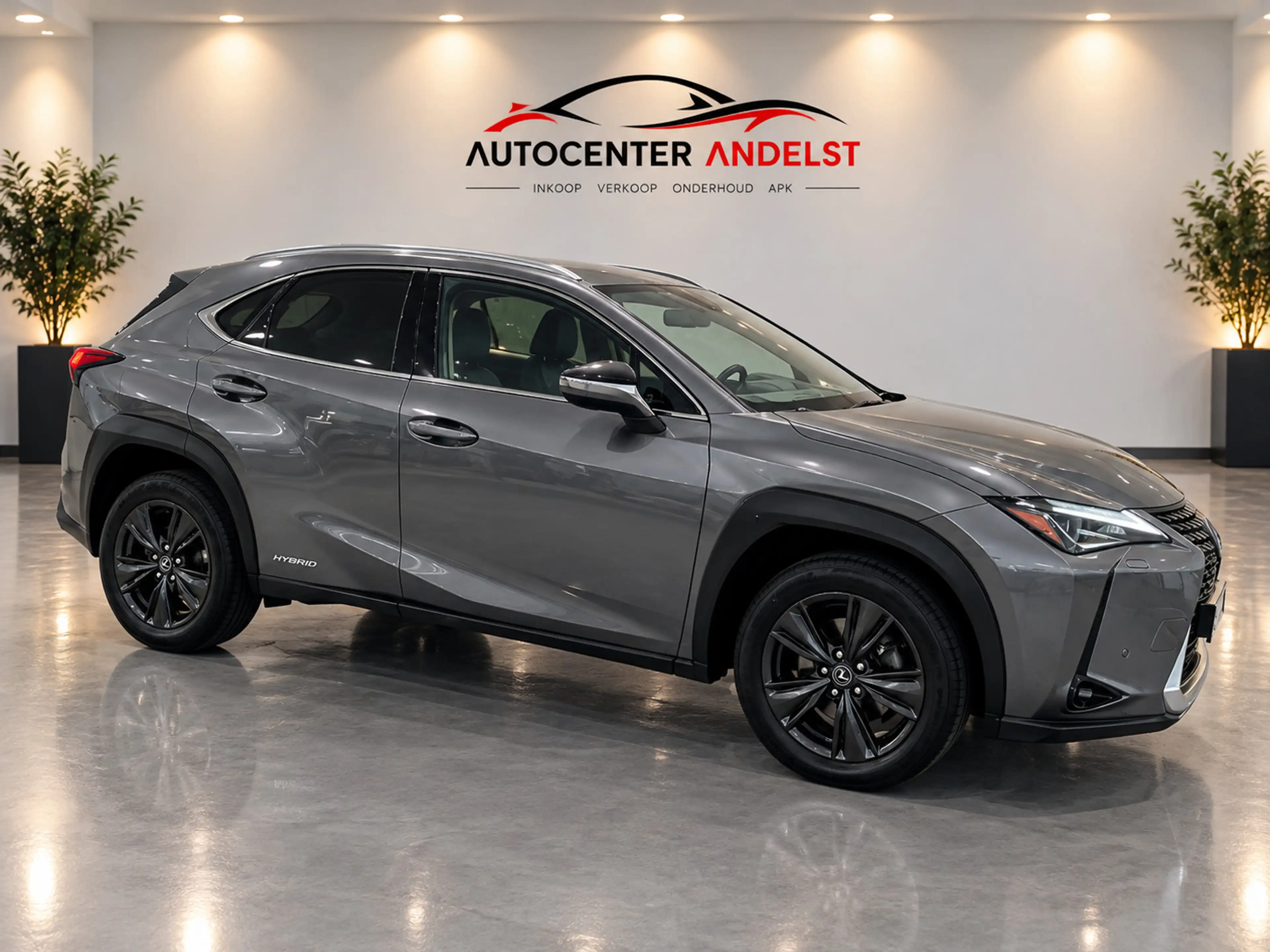Lexus UX 250h Business Line, Aut, Acc, Stoelvrw, Navi, Pdc, Cam, — photo 2