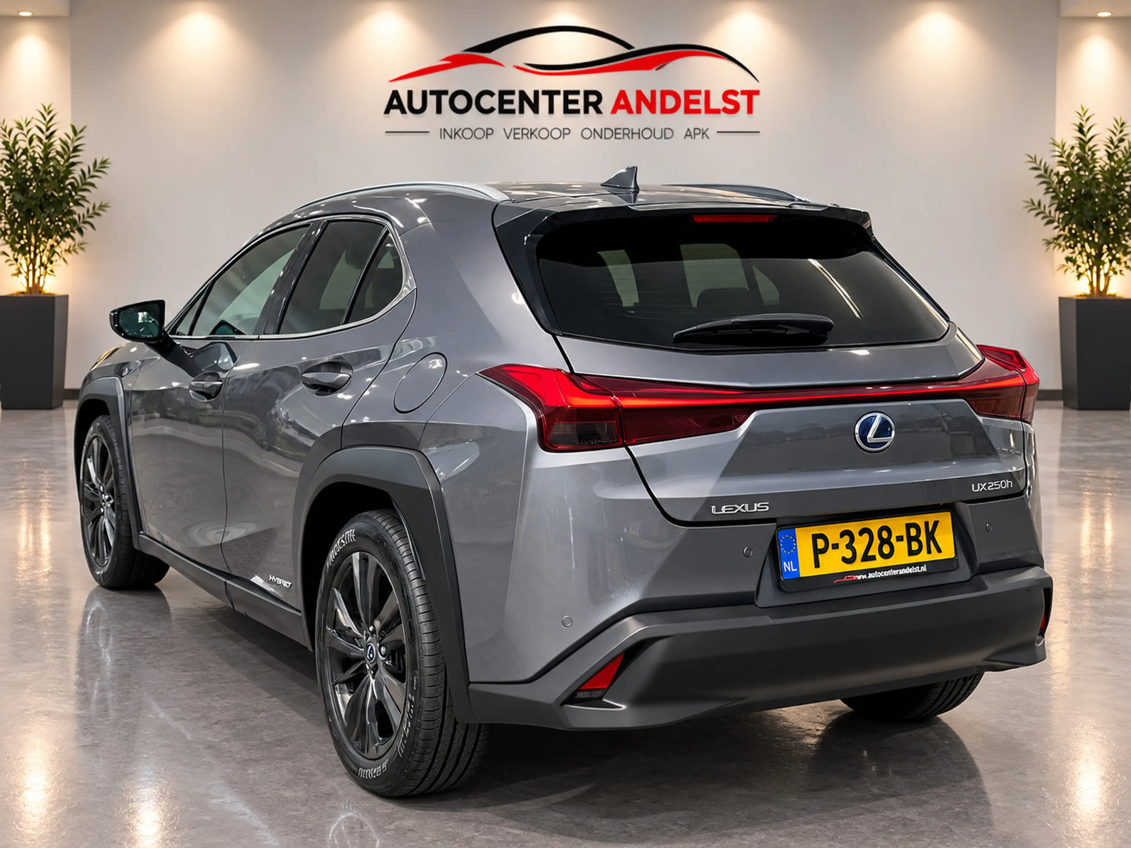 Lexus UX 250h Business Line, Aut, Acc, Stoelvrw, Navi, Pdc, Cam, — photo 6