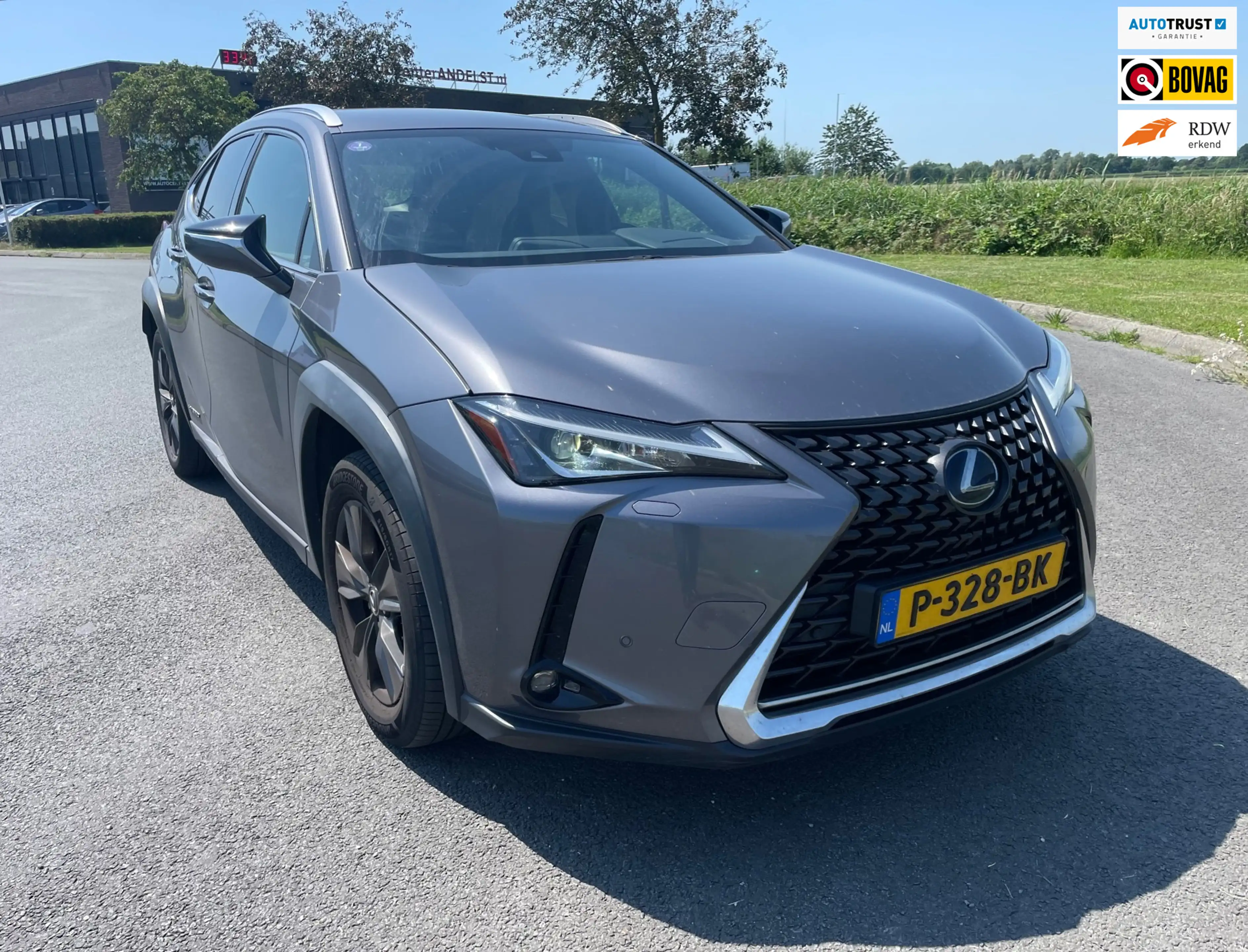 Lexus UX 250h Business Line, Aut, Acc, Stoelvrw, Navi, Pdc, Cam,