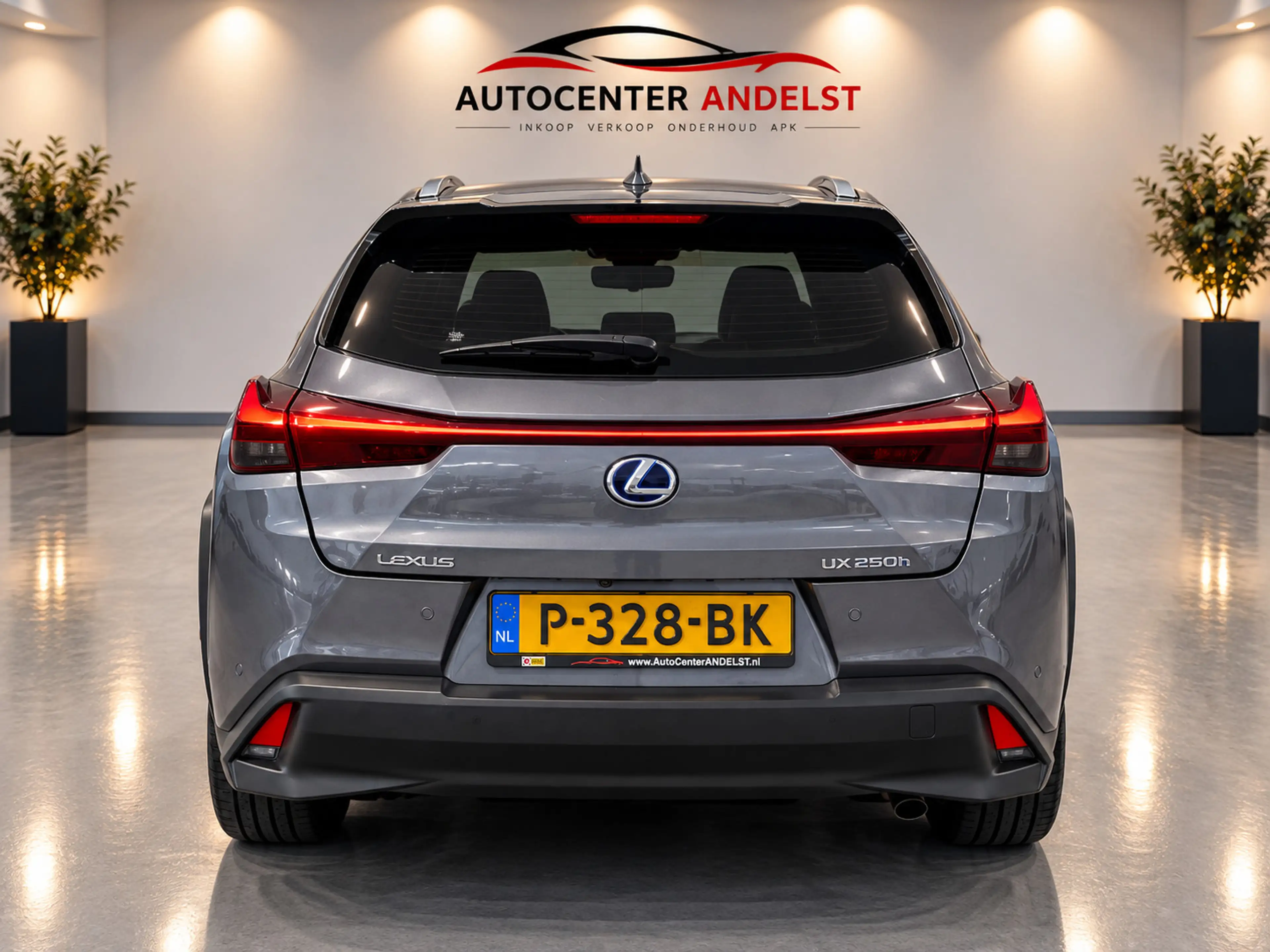 Lexus UX 250h Business Line, Aut, Acc, Stoelvrw, Navi, Pdc, Cam, — photo 8