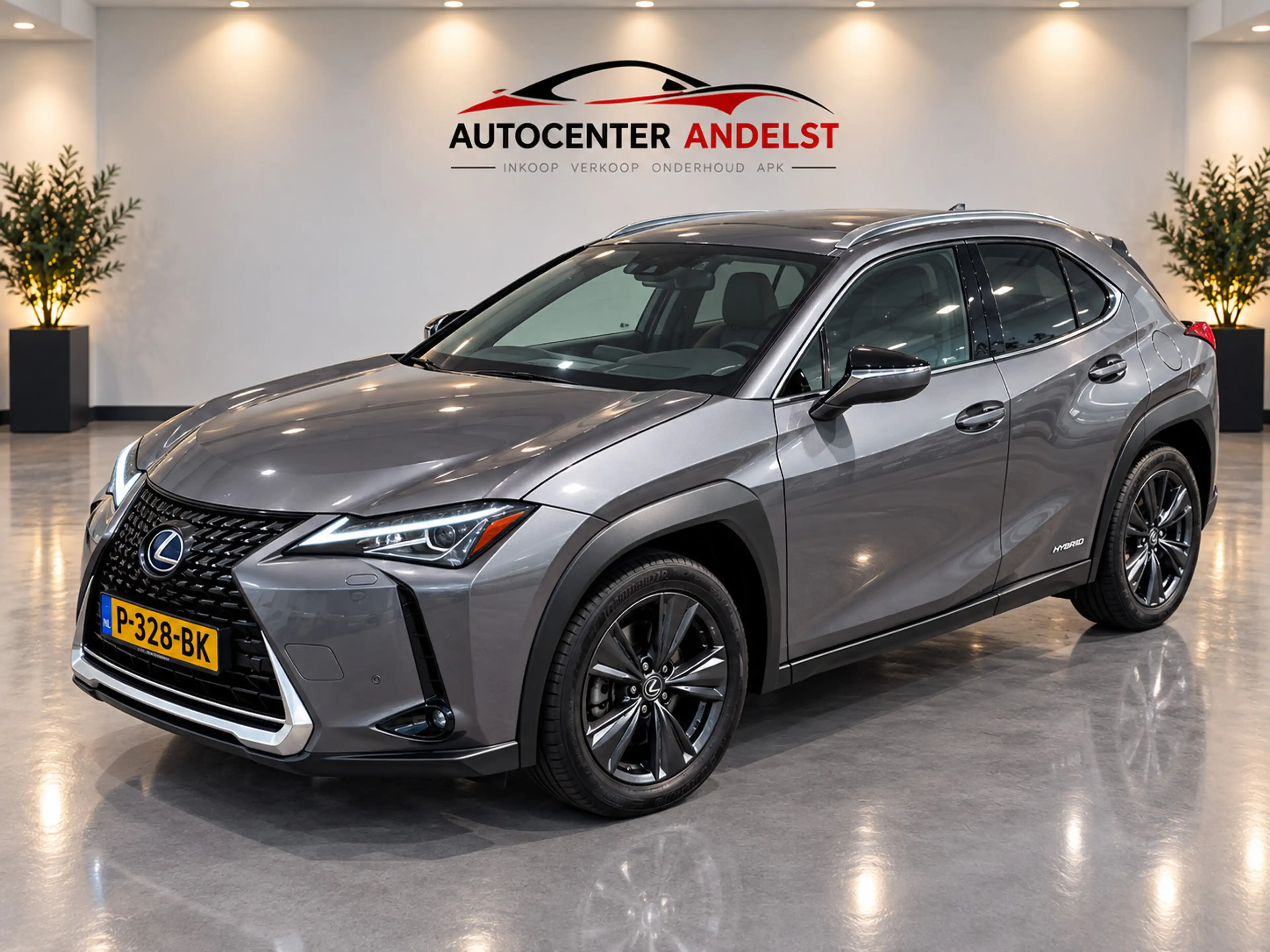 Lexus UX 250h Business Line, Aut, Acc, Stoelvrw, Navi, Pdc, Cam, — photo 5