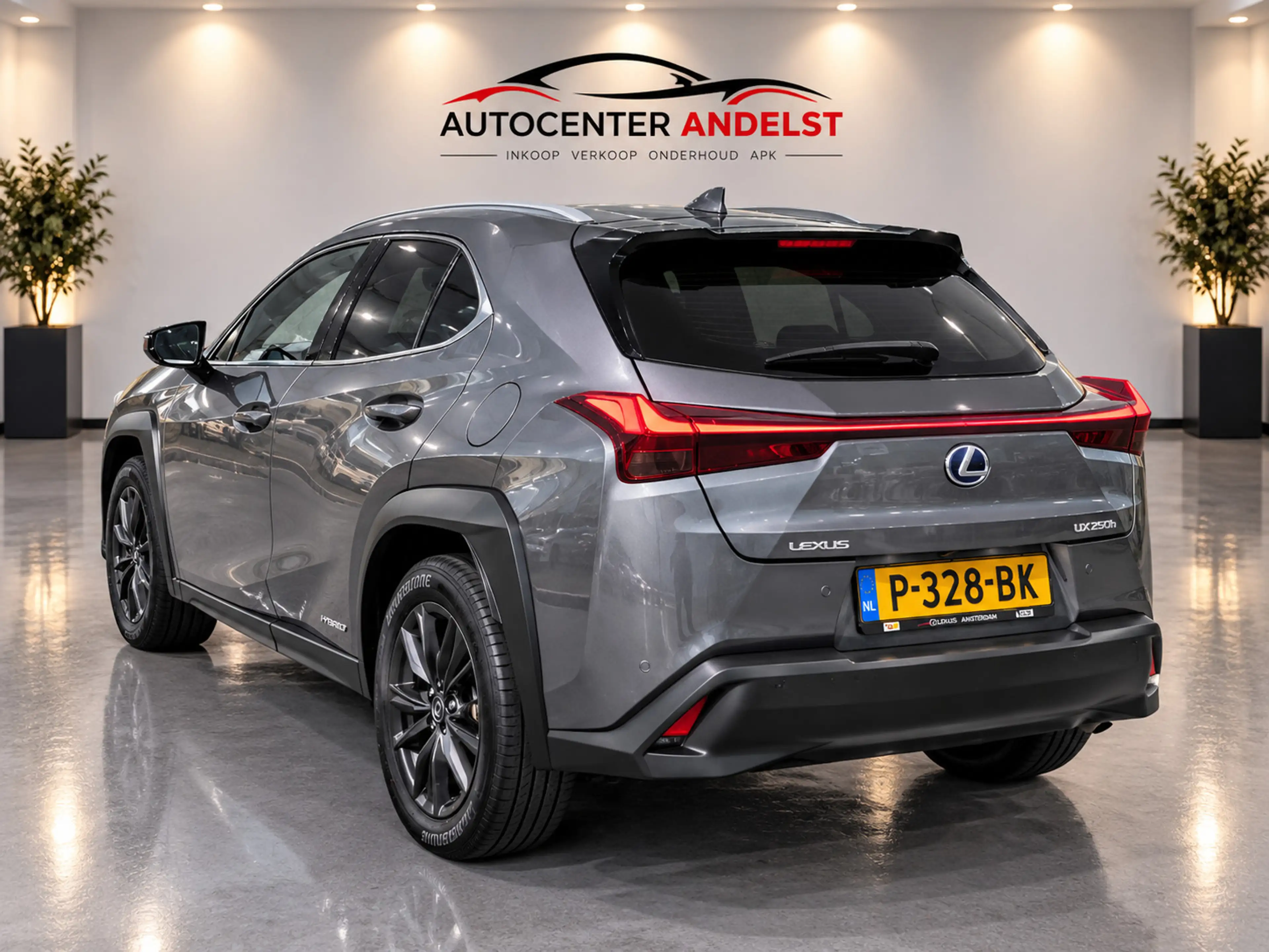Lexus UX 250h Business Line, Aut, Acc, Stoelvrw, Navi, Pdc, Cam, — photo 7