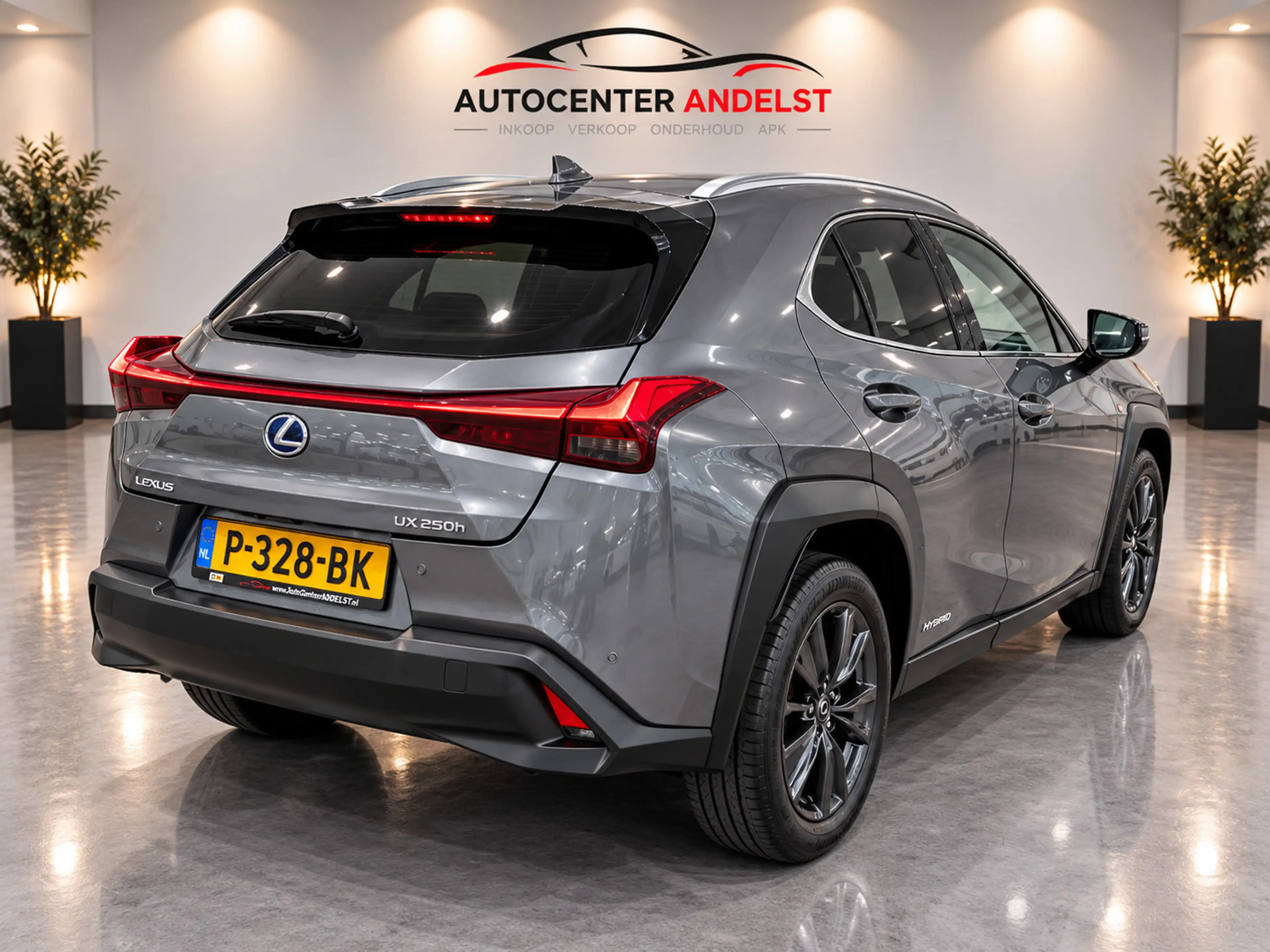 Lexus UX 250h Business Line, Aut, Acc, Stoelvrw, Navi, Pdc, Cam, — photo 10