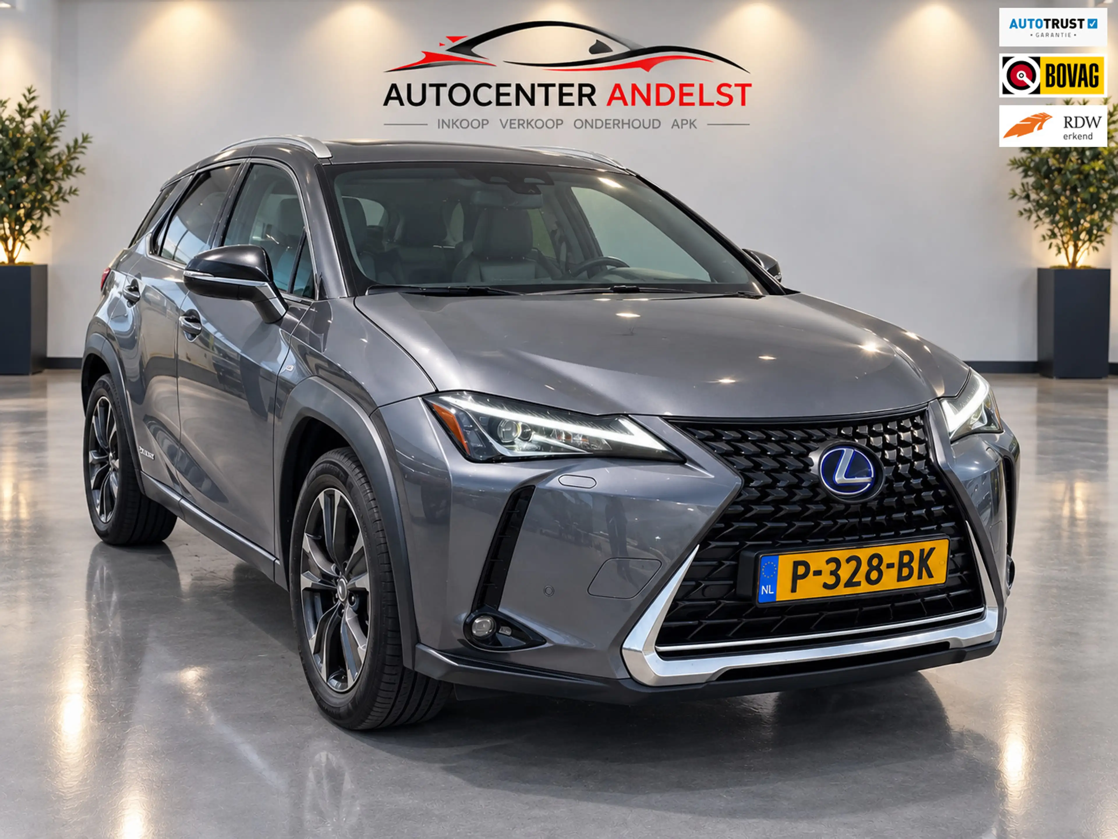 Lexus UX 250h Business Line, Aut, Acc, Stoelvrw, Navi, Pdc, Cam,