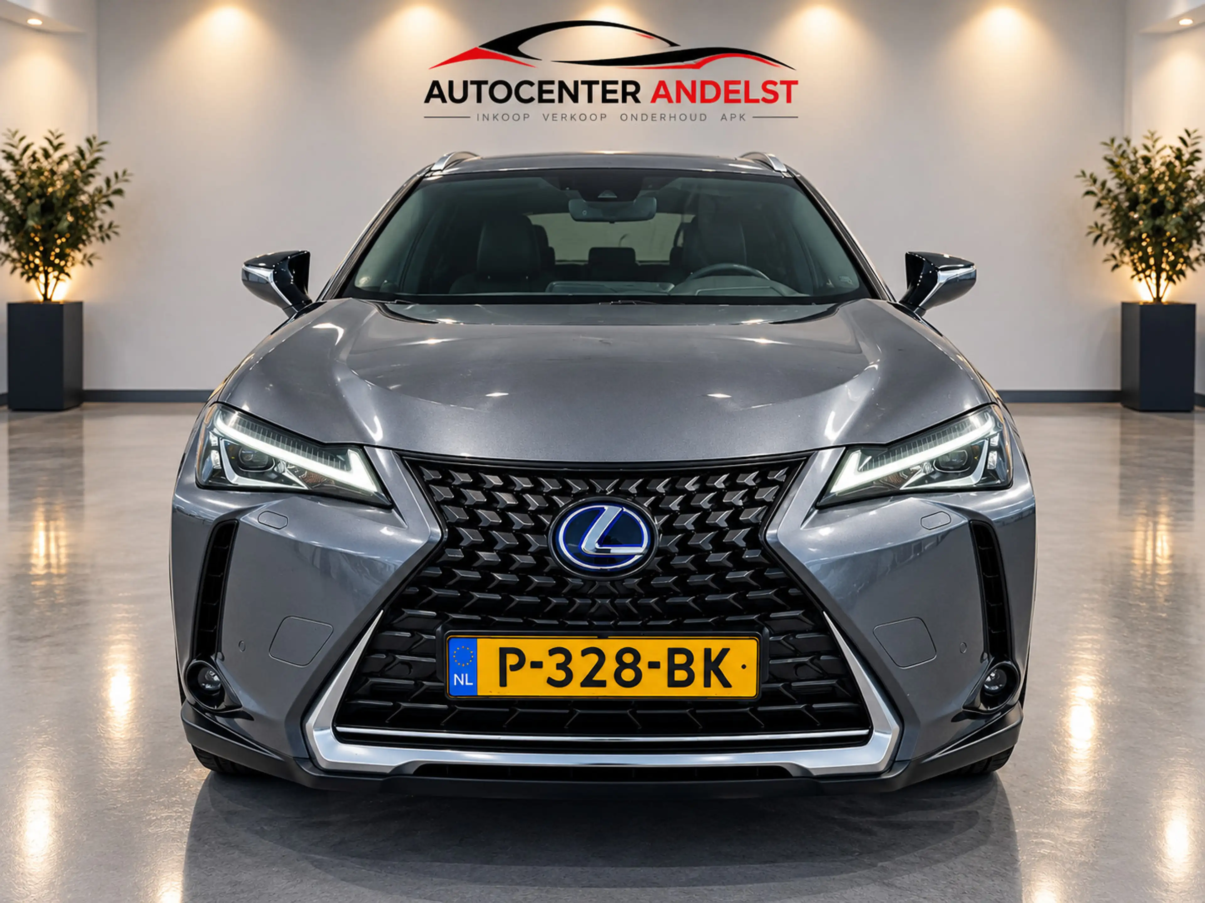 Lexus UX 250h Business Line, Aut, Acc, Stoelvrw, Navi, Pdc, Cam, — photo 3