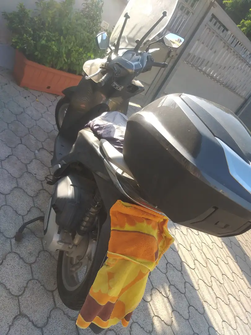 Honda SH 125 Blu/Azzurro - 2