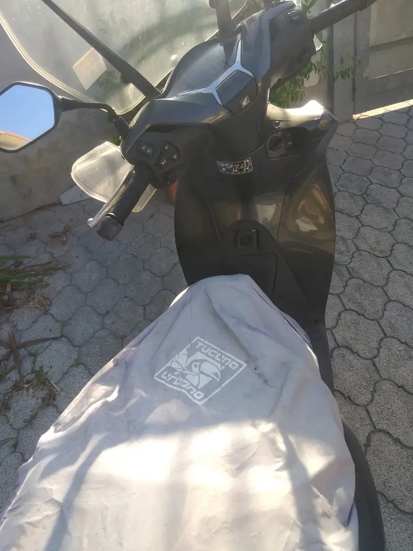 Honda SH 125 Blu/Azzurro - 1
