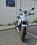 Kawasaki Blanc - thumbnail 3