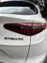 Alfa Romeo Stelvio Stelvio 2018 2.2 t Executive Q4 210cv auto - thumbnail 11