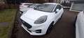 Ford Puma ST -Line X Blanc - thumbnail 1
