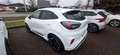 Ford Puma ST -Line X Blanc - thumbnail 3