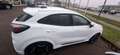 Ford Puma ST -Line X Blanc - thumbnail 6