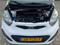 Kia Picanto 1.2 CVVT Comfort Pack | NL-AUTO! | DEALER OH! Weiß - thumbnail 35