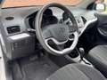 Kia Picanto 1.2 CVVT Comfort Pack | NL-AUTO! | DEALER OH! Weiß - thumbnail 9