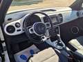 Volkswagen Beetle Beetle Cabrio 2.0 TSI Autom. Kamera, Freisprech Weiß - thumbnail 6