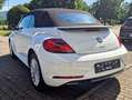 Volkswagen Beetle Beetle Cabrio 2.0 TSI Autom. Kamera, Freisprech Weiß - thumbnail 5