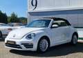Volkswagen Beetle Beetle Cabrio 2.0 TSI Autom. Kamera, Freisprech Weiß - thumbnail 4