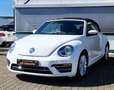 Volkswagen Beetle Beetle Cabrio 2.0 TSI Autom. Kamera, Freisprech Weiß - thumbnail 3