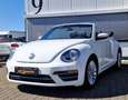 Volkswagen Beetle Beetle Cabrio 2.0 TSI Autom. Kamera, Freisprech Weiß - thumbnail 9