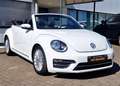 Volkswagen Beetle Beetle Cabrio 2.0 TSI Autom. Kamera, Freisprech Weiß - thumbnail 11