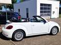 Volkswagen Beetle Beetle Cabrio 2.0 TSI Autom. Kamera, Freisprech Weiß - thumbnail 13