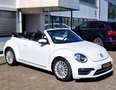 Volkswagen Beetle Beetle Cabrio 2.0 TSI Autom. Kamera, Freisprech Weiß - thumbnail 12