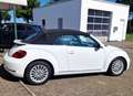 Volkswagen Beetle Beetle Cabrio 2.0 TSI Autom. Kamera, Freisprech Weiß - thumbnail 2