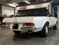 Mercedes-Benz SL 280 SL 280 Roadster Bianco - thumbnail 9