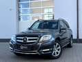 Mercedes-Benz GLK 220 CDI BlueEfficiency 4Matic*AHK*NAVI*KLIMA Gris - thumbnail 12