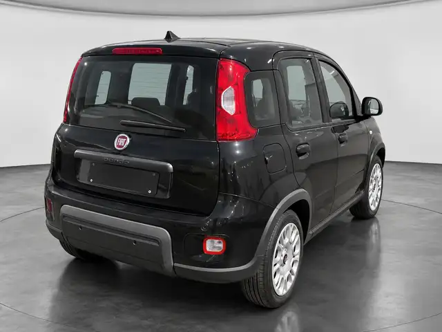 Fiat Panda view 2