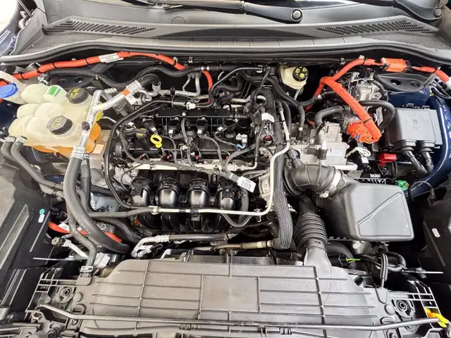 Ford Kuga view 13