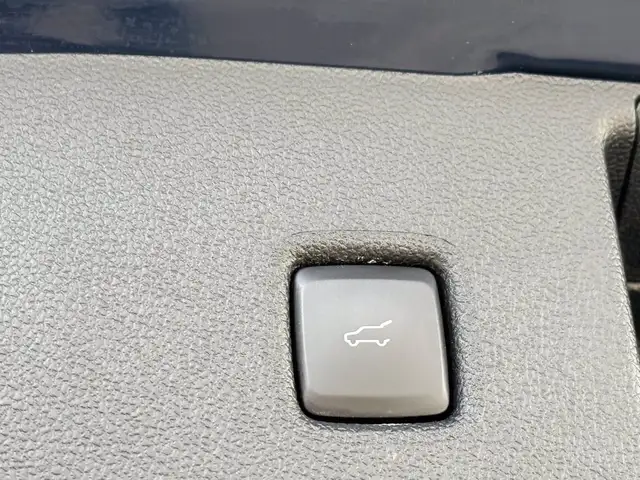 Ford Kuga view 12